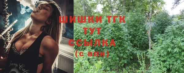 мдпв Краснослободск