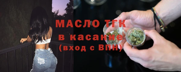 мдпв Краснослободск