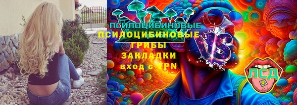 мдпв Краснослободск