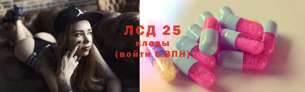 мдпв Краснослободск