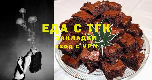 мдпв Краснослободск