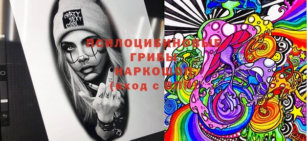 мдпв Краснослободск
