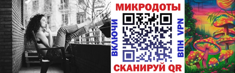 Галлюциногенные грибы Psilocybine cubensis  цены наркотик  Камышин 